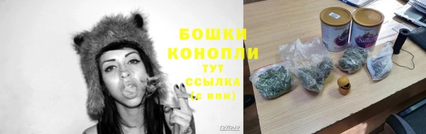 амф Михайловск