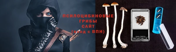 амф Михайловск