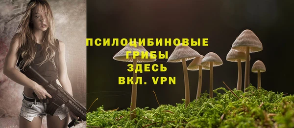 герыч Михайлов