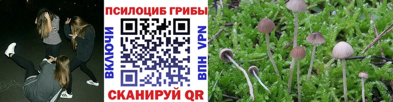 Галлюциногенные грибы мухоморы  Ангарск 
